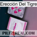 Erección Del Tigre 32